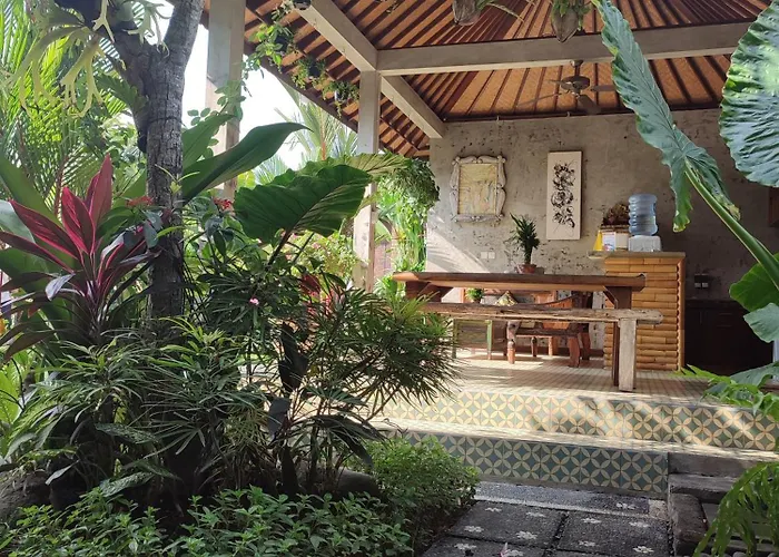 D Anyar And Surf * Canggu